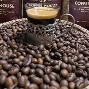 culi robusta 18 cao cap 2
