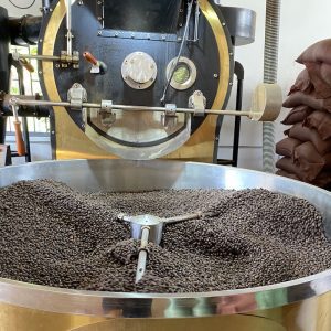 culi robusta 18 cao cap 3